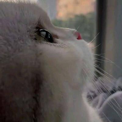 潇然丶