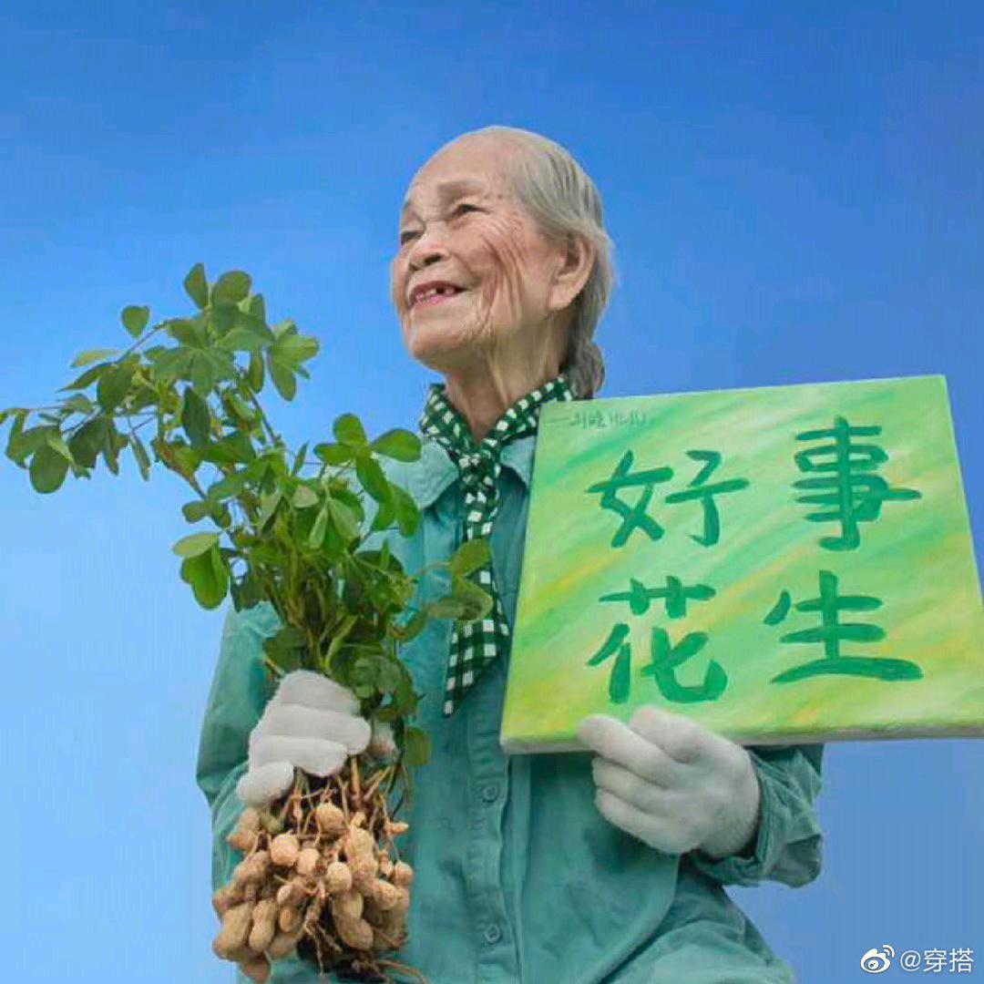 暴躁一兔