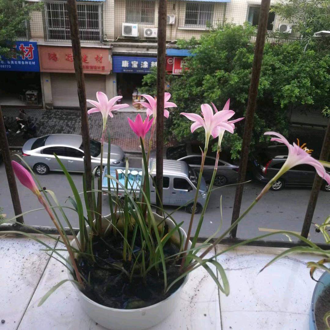 勇敢面对现时