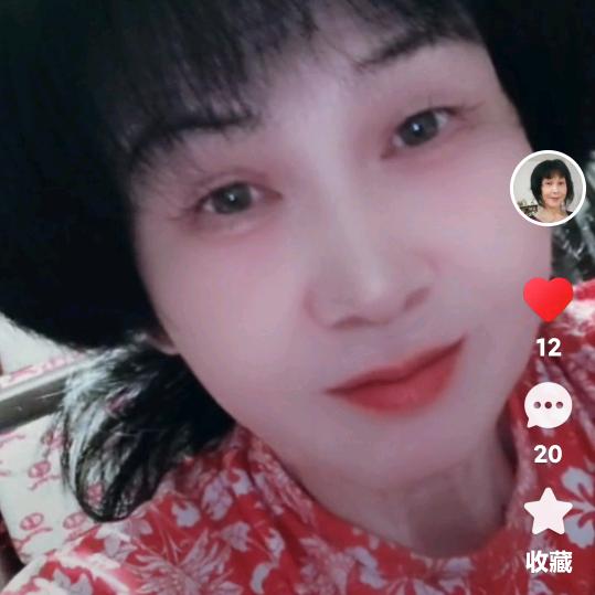 木公美