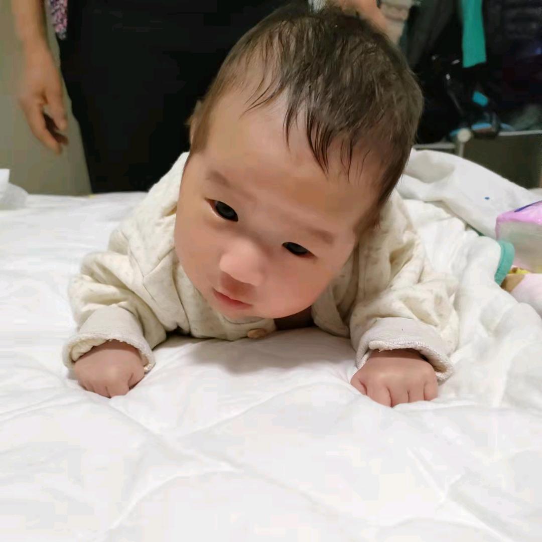 奋斗，小鸟头像