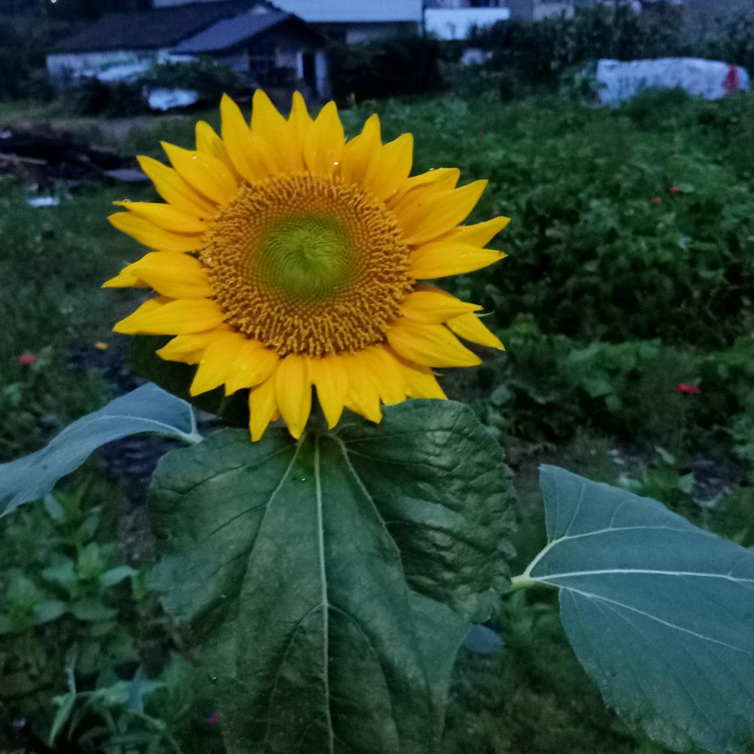 我是一个老玩童搞点乐