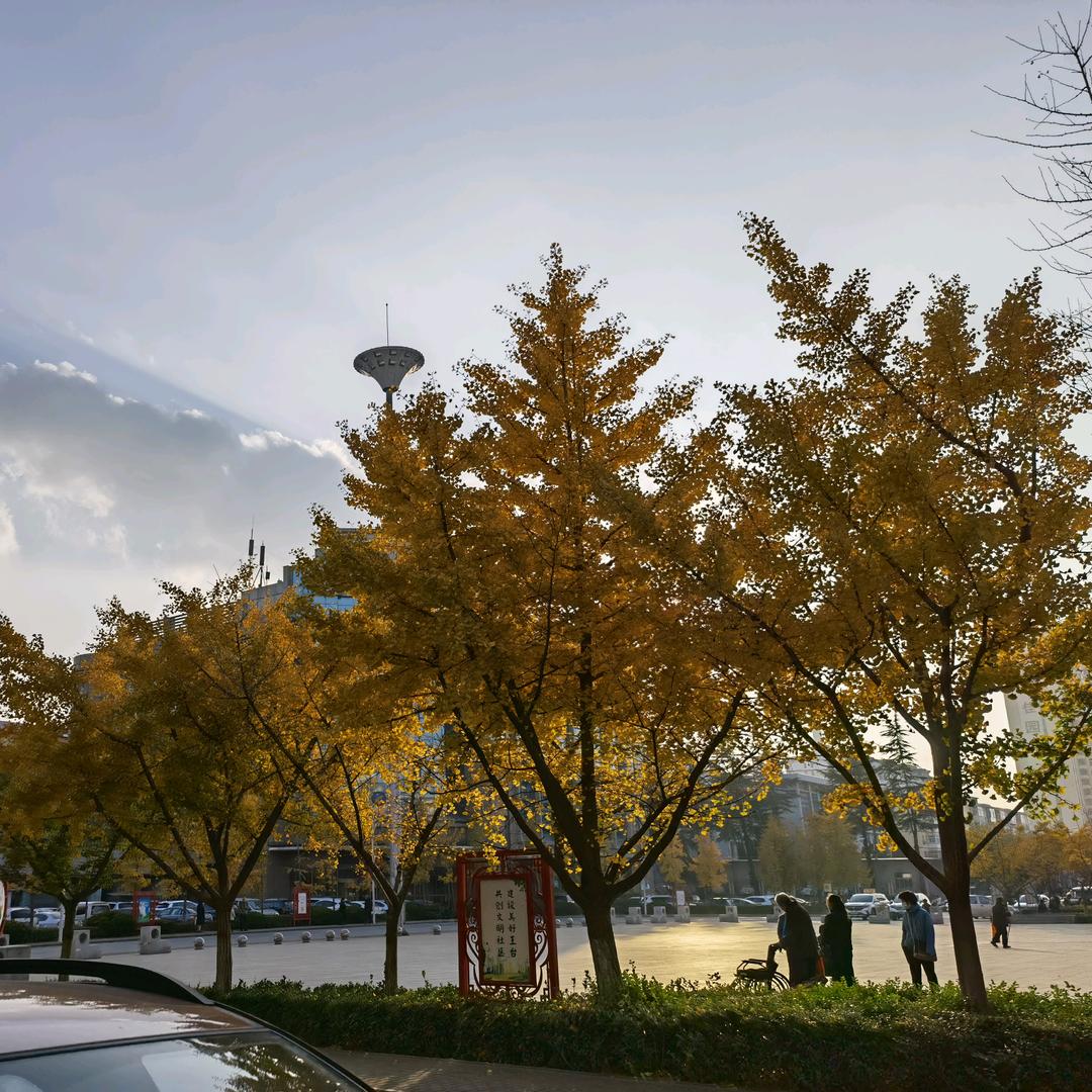 幸福的五口之家