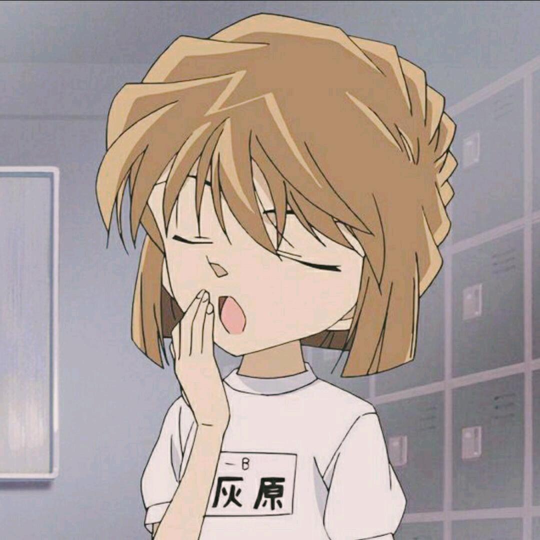 偏我来时不逢春.