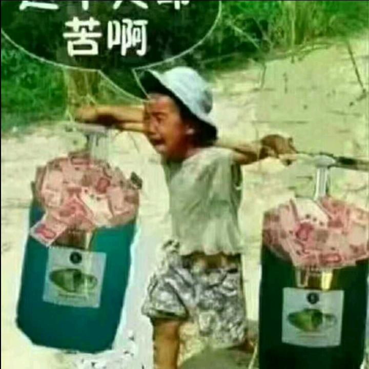 人无完人