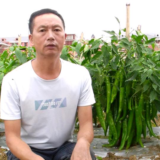 龙胜力扬农资经营部