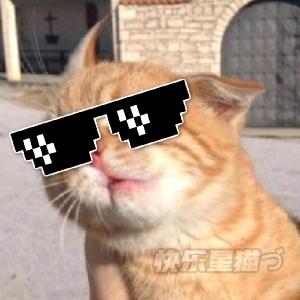 快乐星猫づ