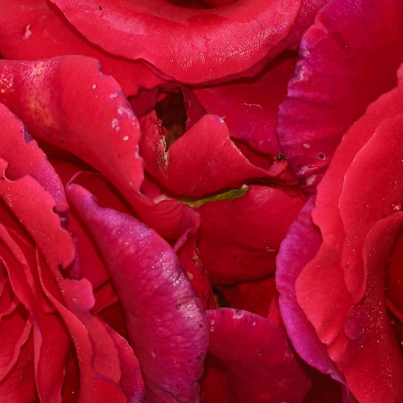 朱明清湖北恩施