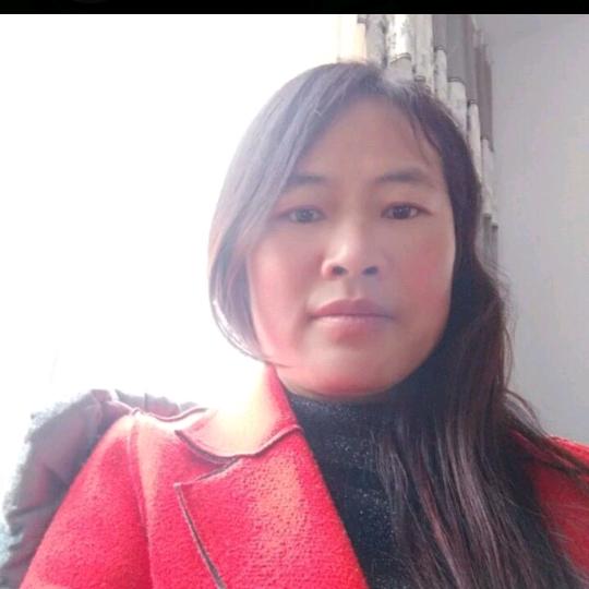 默默守候🌻