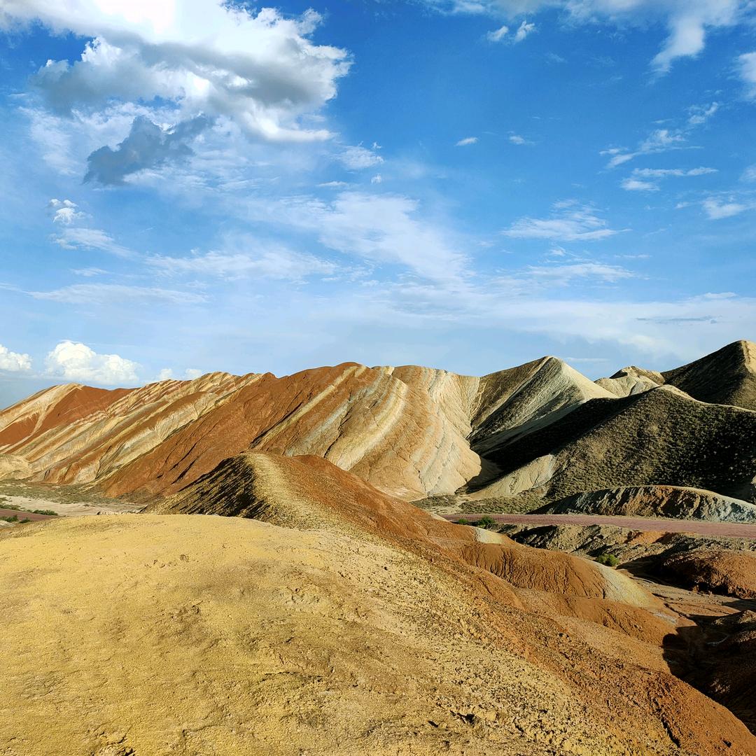 秋实农贸市场批零猪肉