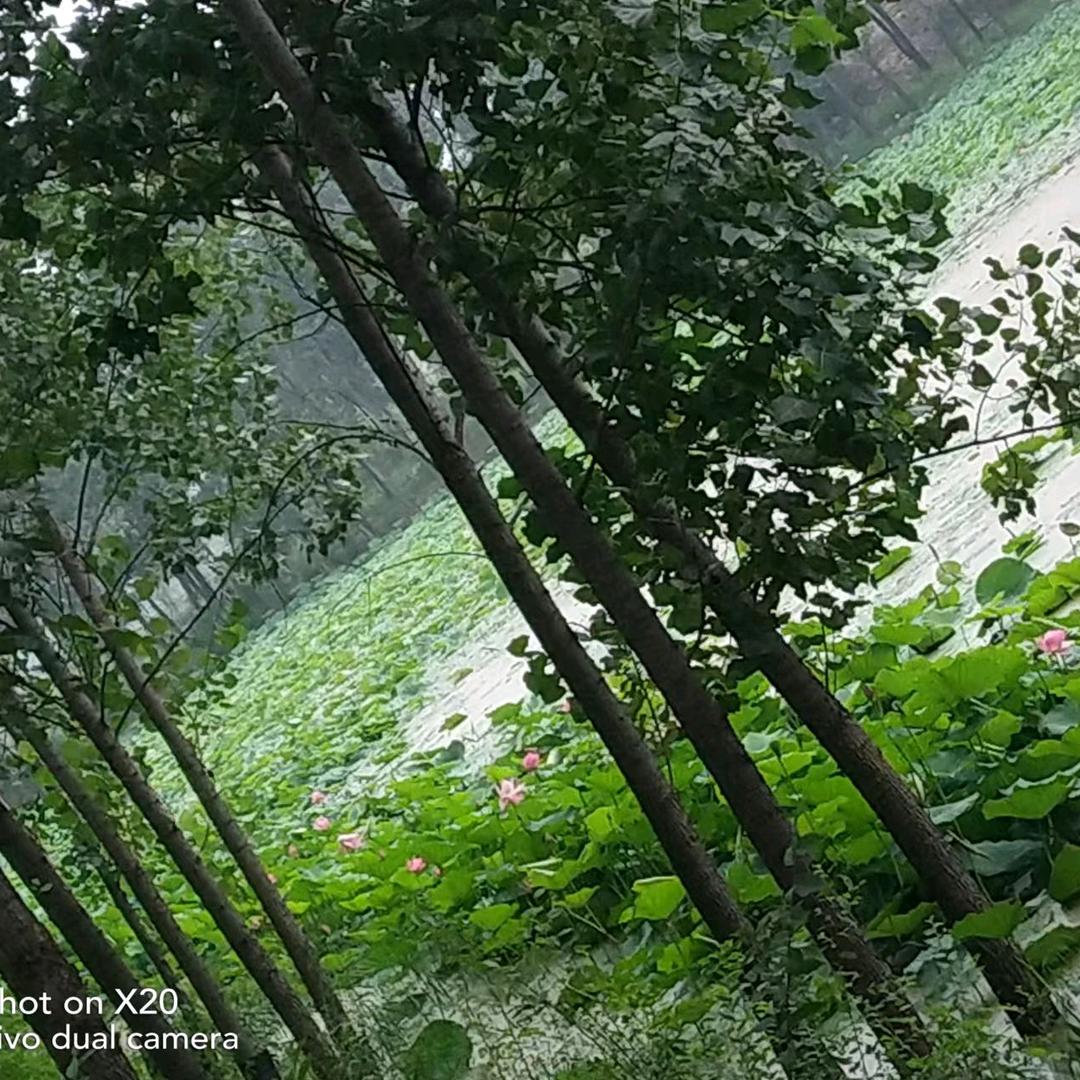 欠我‖江山，总要奉还