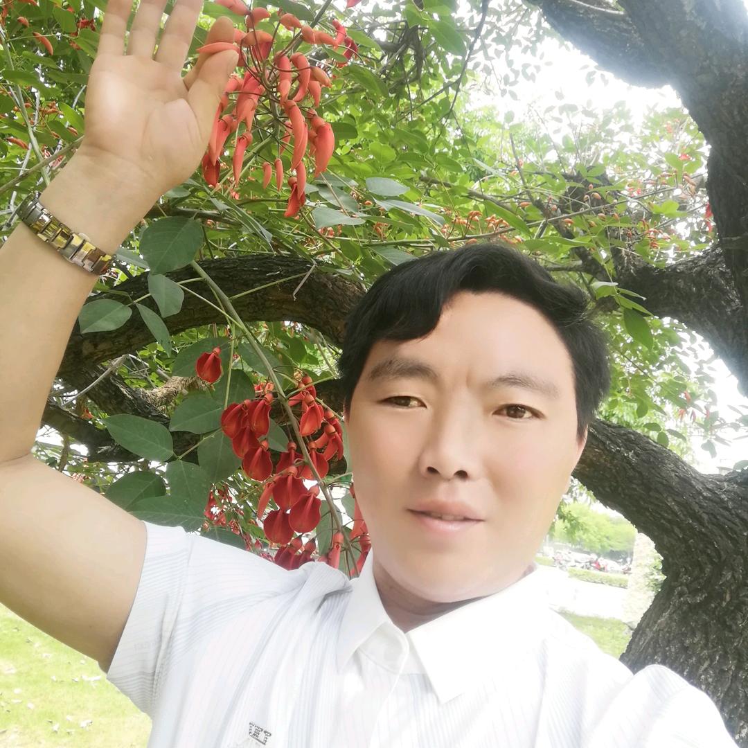 爱恨情仇。 🗡（袁）