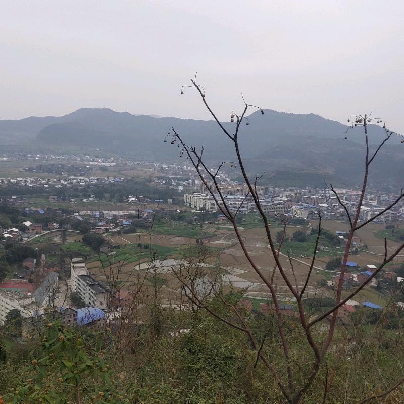 农村就是好