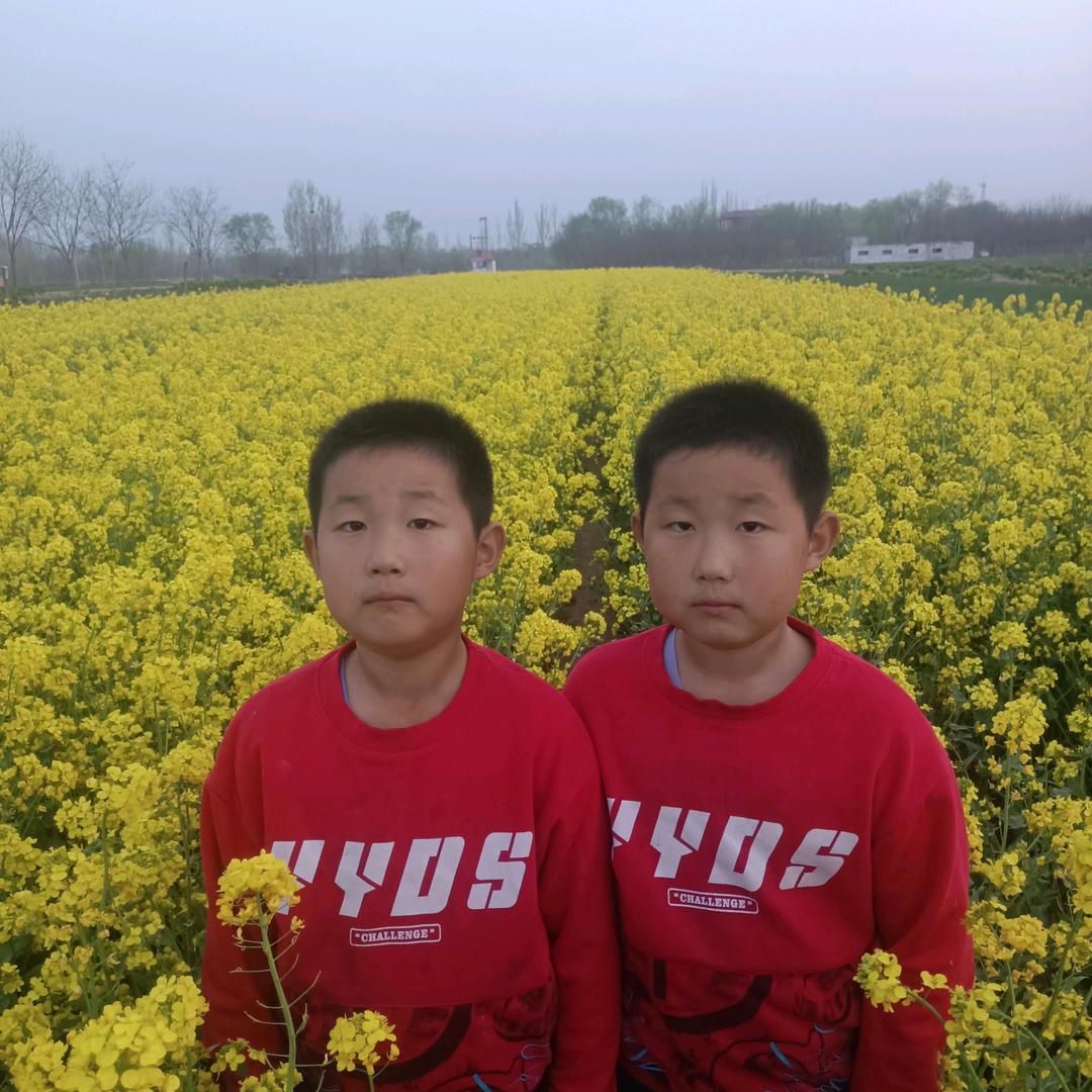 泽鹏