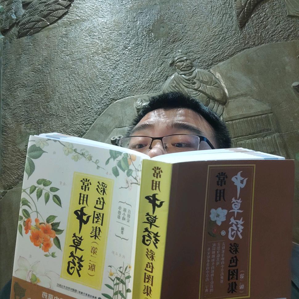 野王刁宝(长生宗掌门)