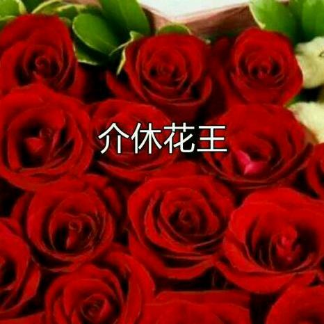 介休市城区团枣湾花卉