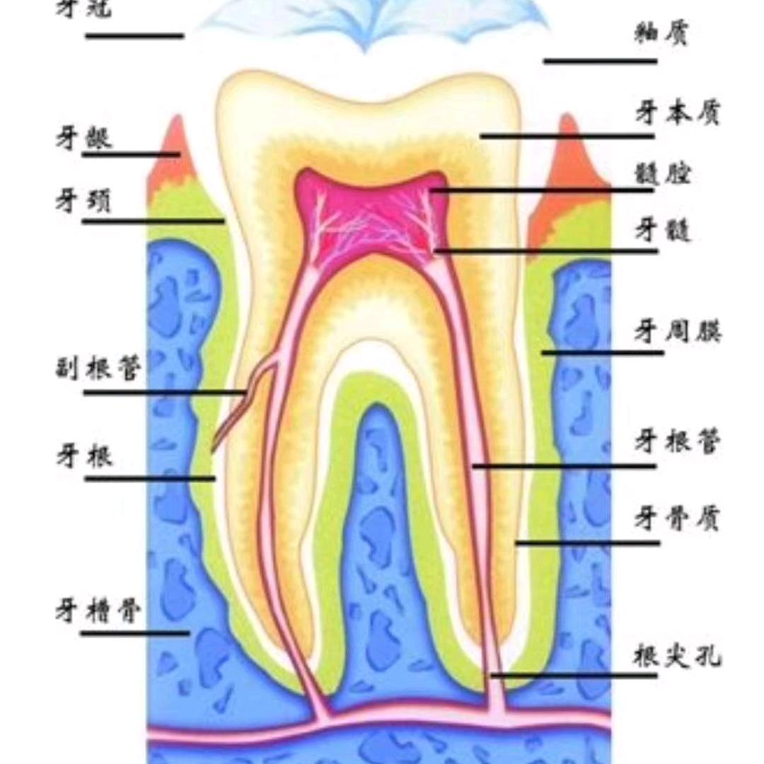 珍惜缘份,牙痛找我
