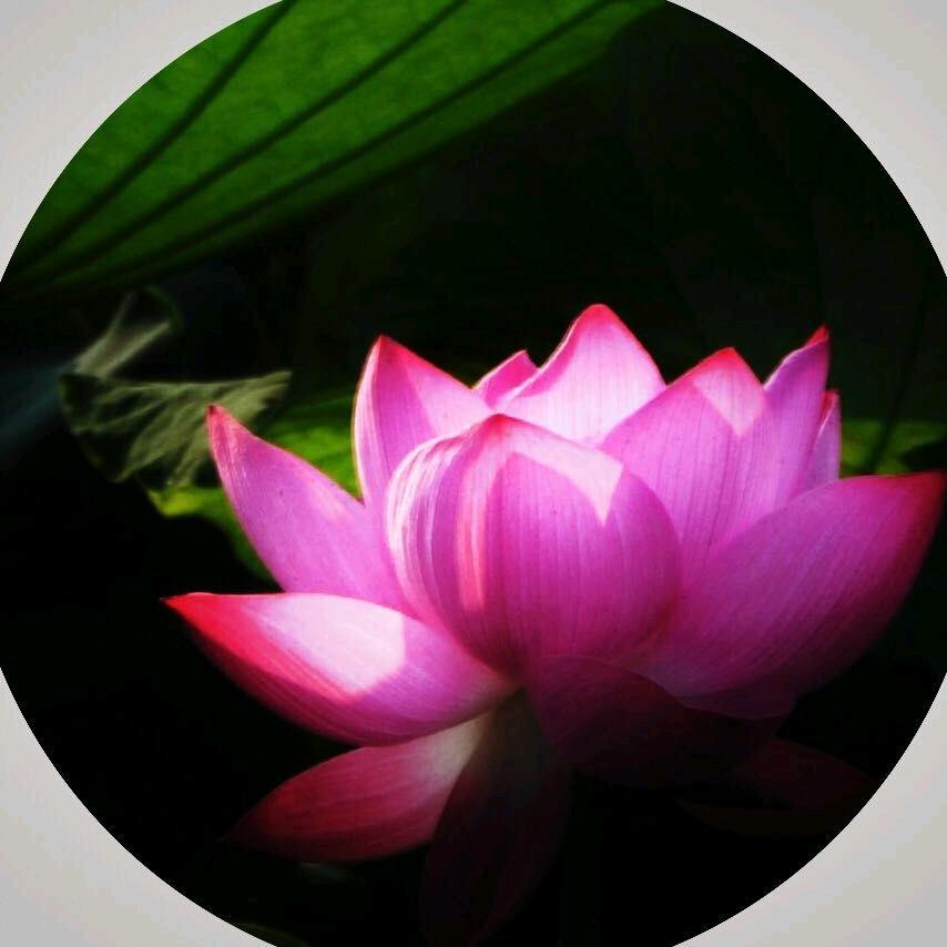 摄影师魏无忌（信陵君）