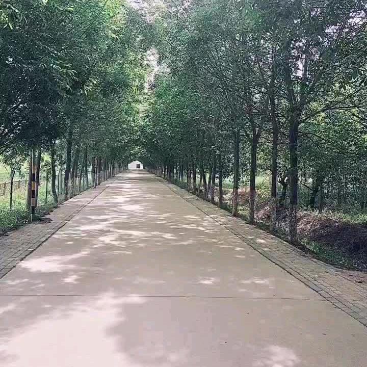 锦上添花影视剪辑