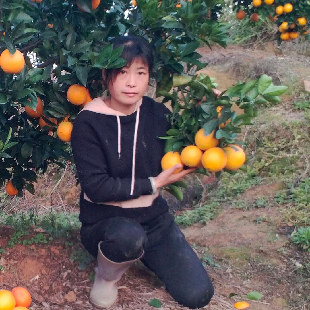 橙子琳