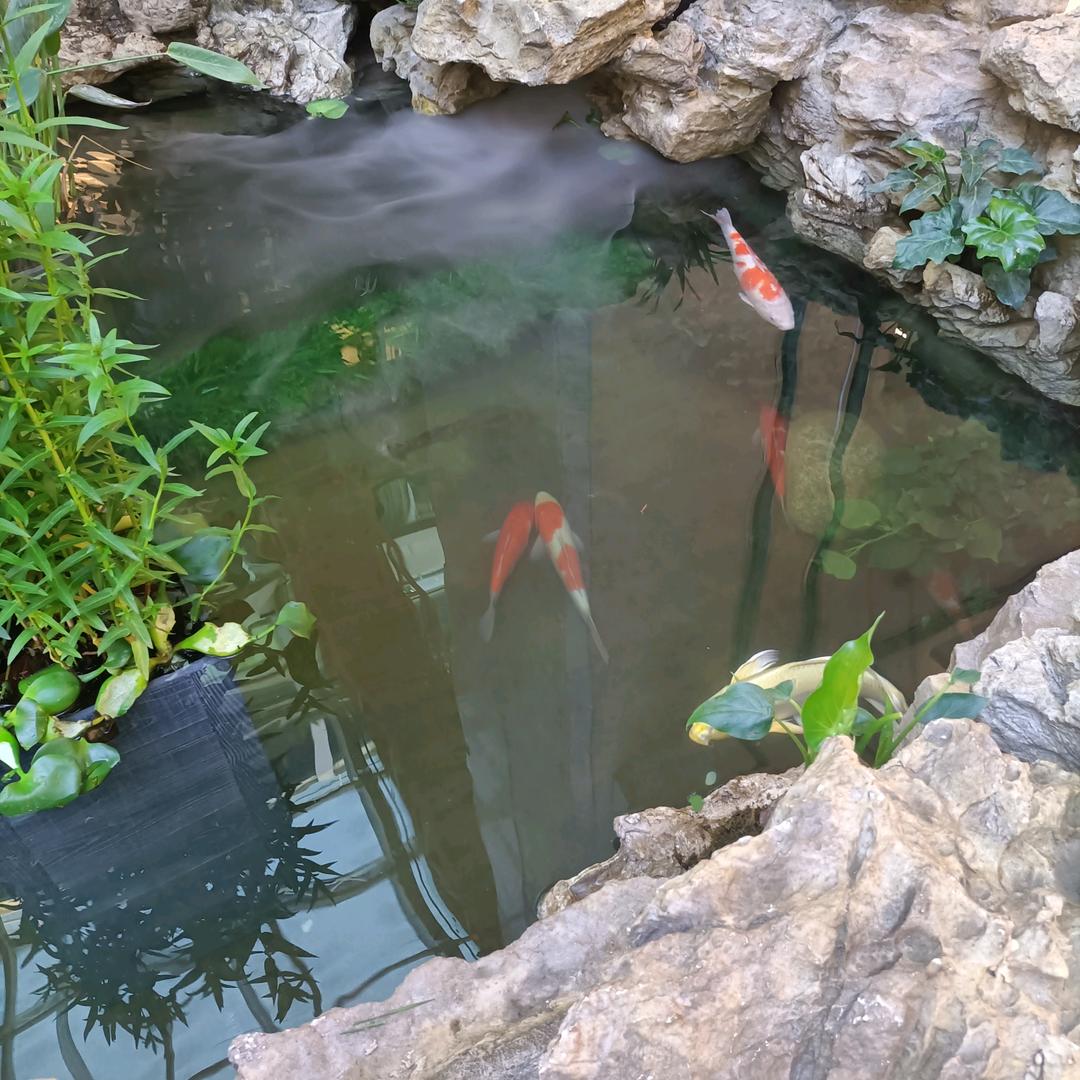 一生有你