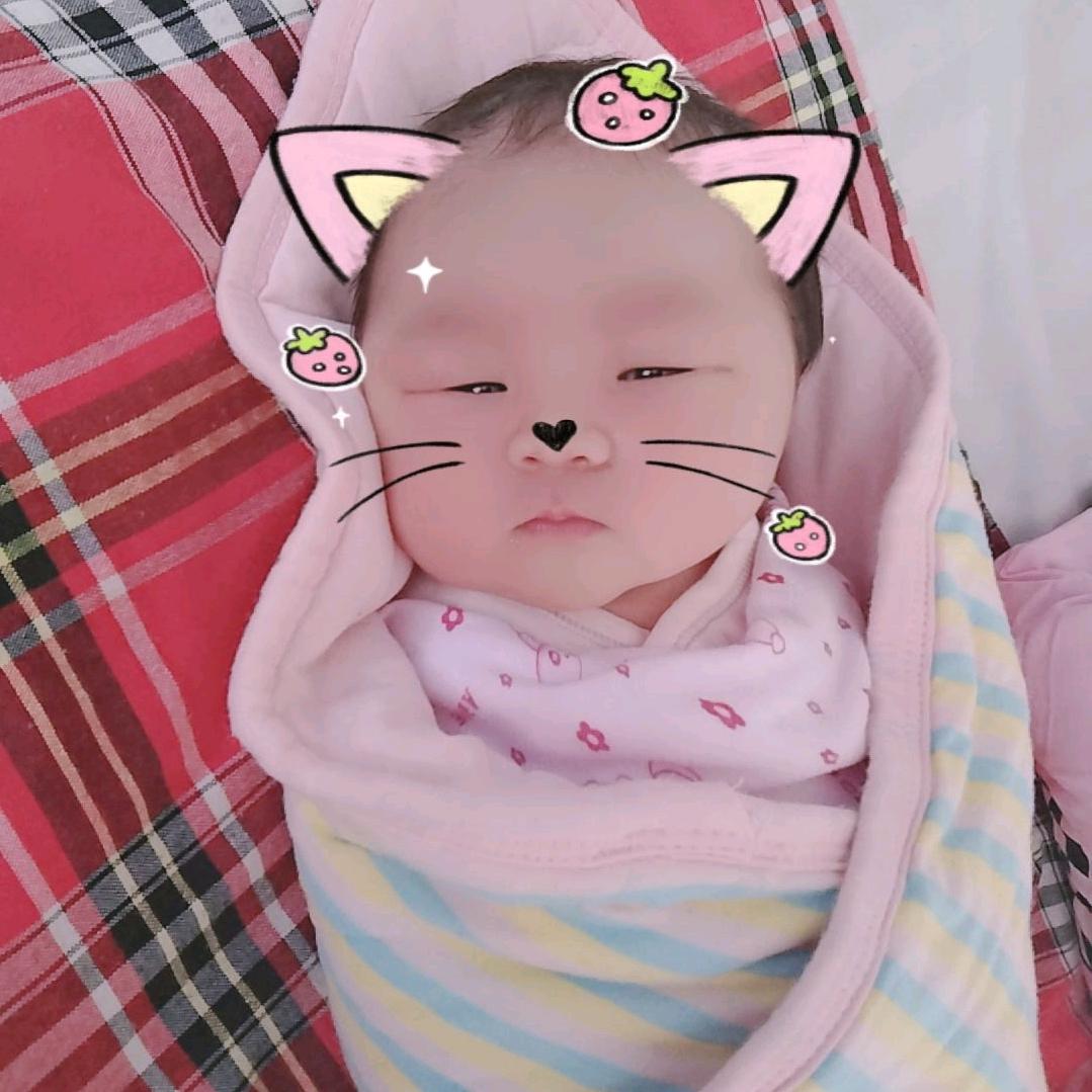 老齐