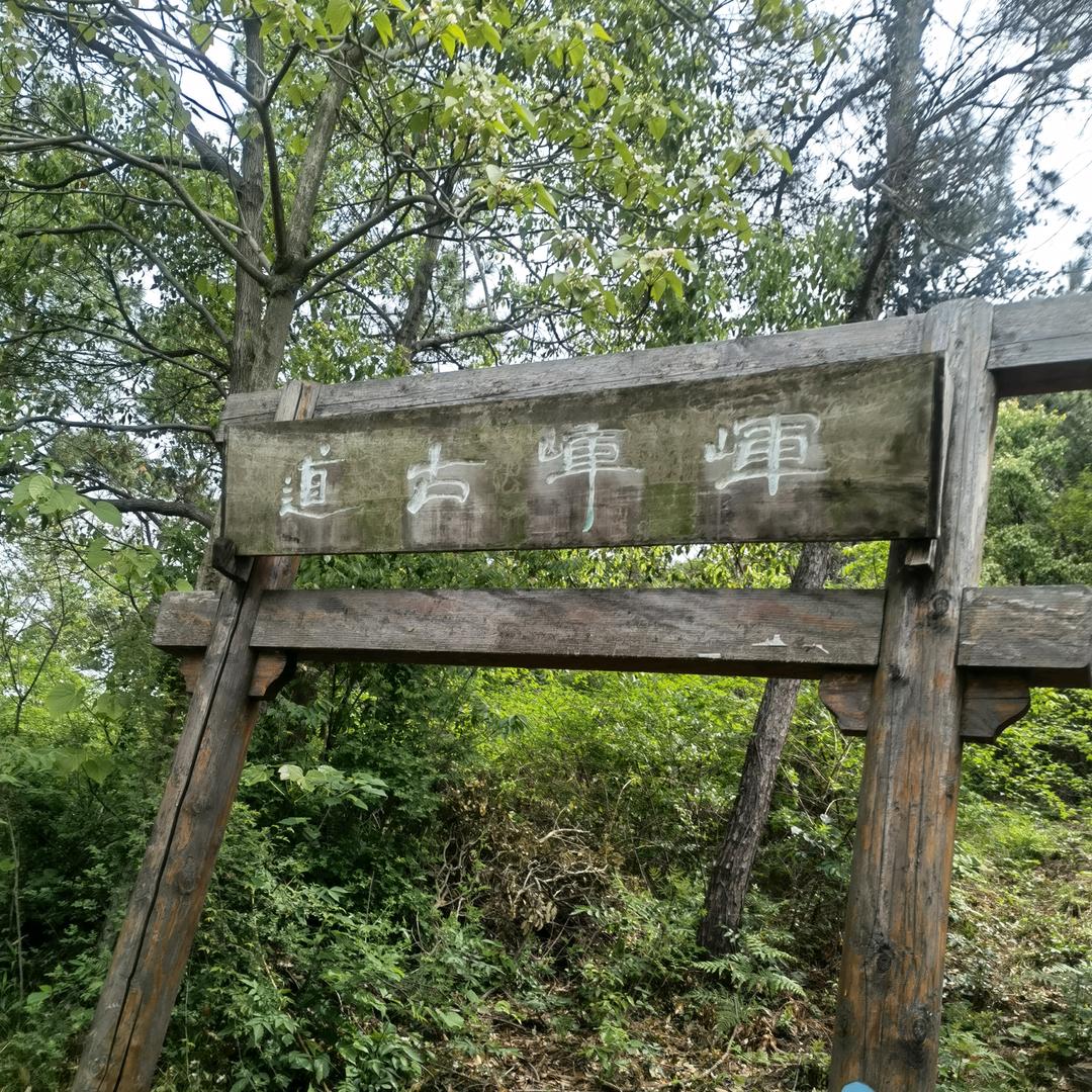 紫龙wu
