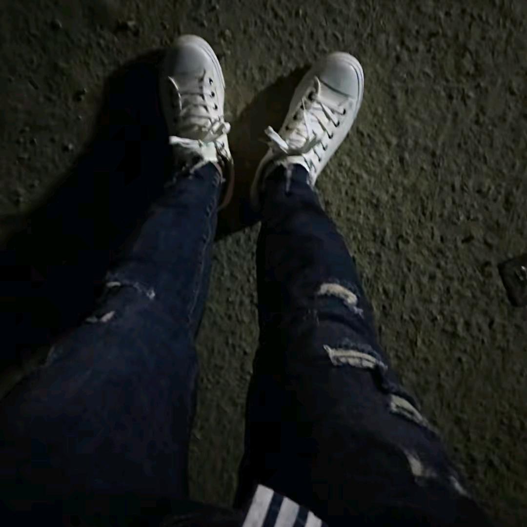 沈进进