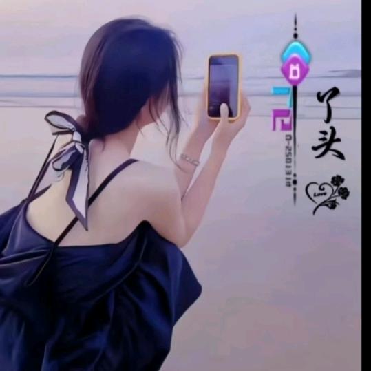 灵芝