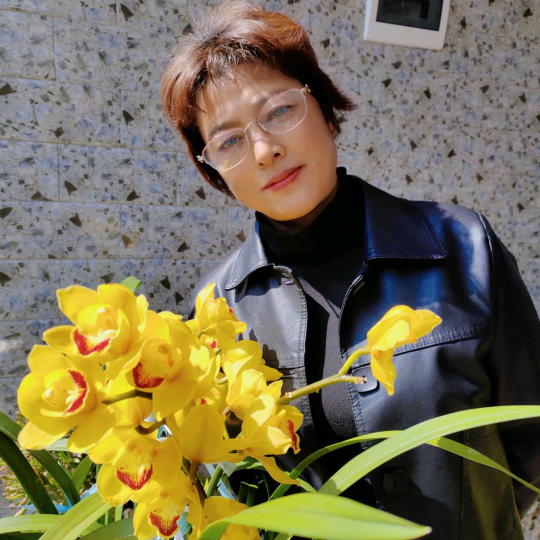 莲姐