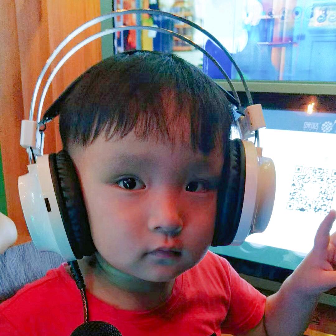 🐨考拉宝宝🐨