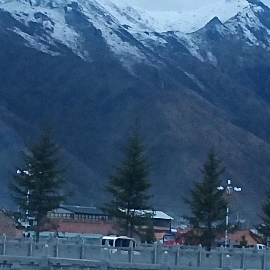 河南～～姚哥