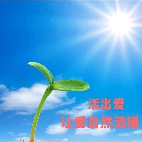 爱莎依服装店李红梅