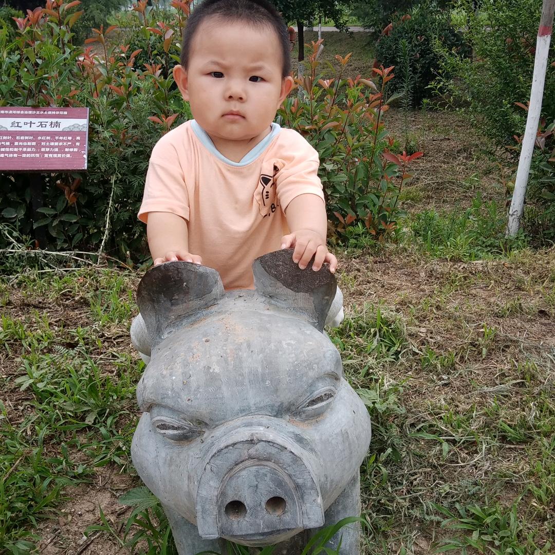刘玉民