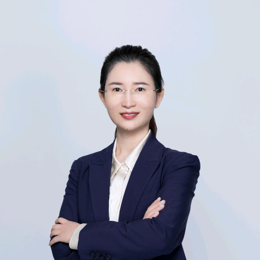 王纳 律师 （解决纠纷）