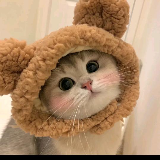 皮卡皮卡丘～