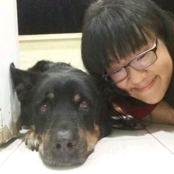 健慧_91