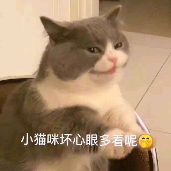 (*´I`*)