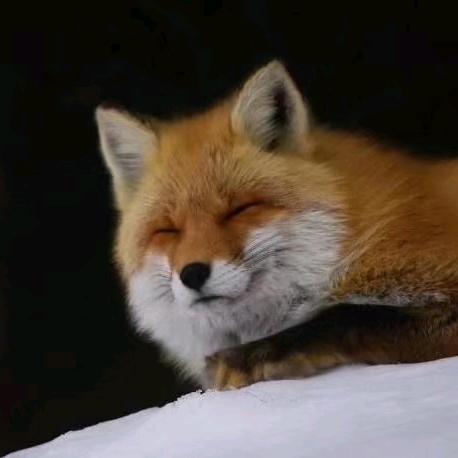 磐石.