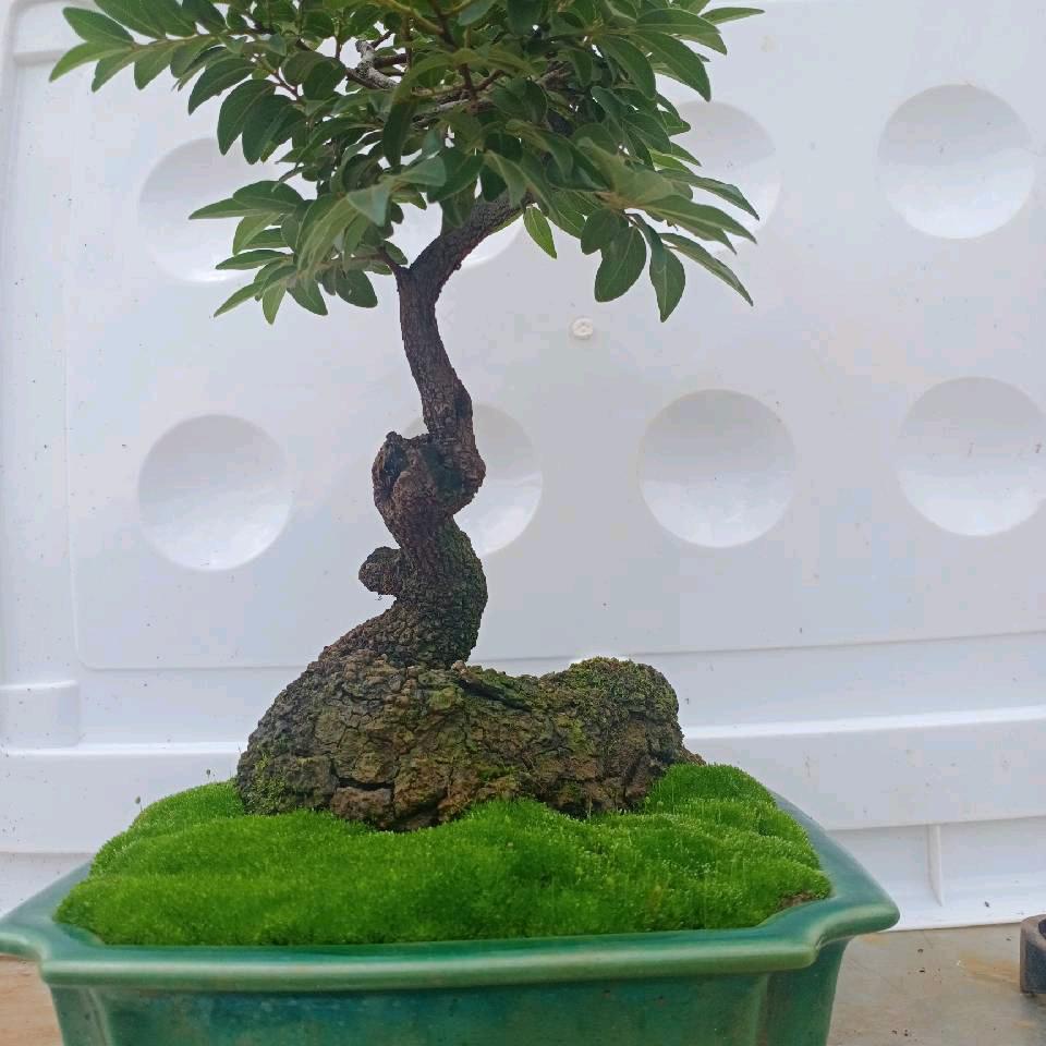 小小的幸福