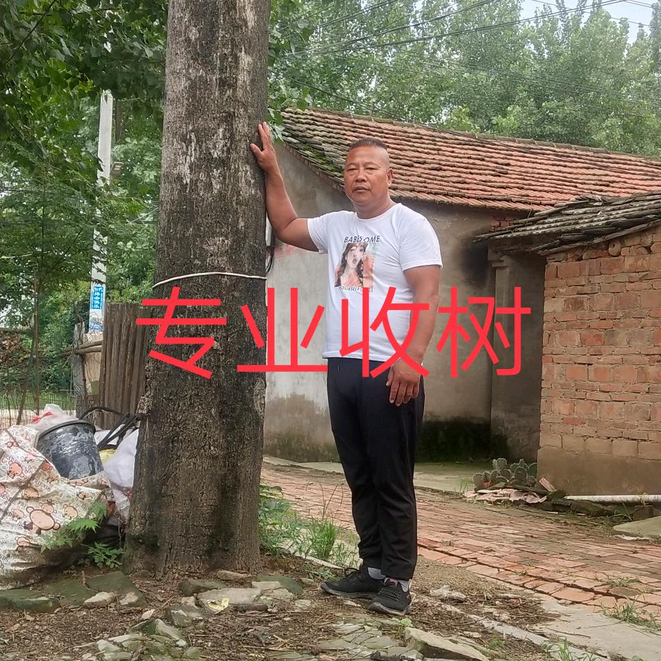 华田
