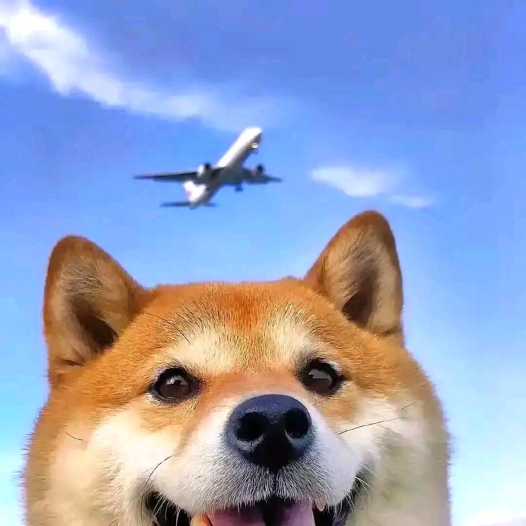 当代青年