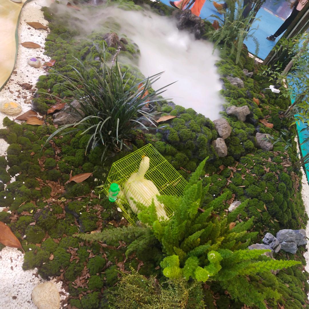 🐉不忘初心♛方得始终/福禄寿