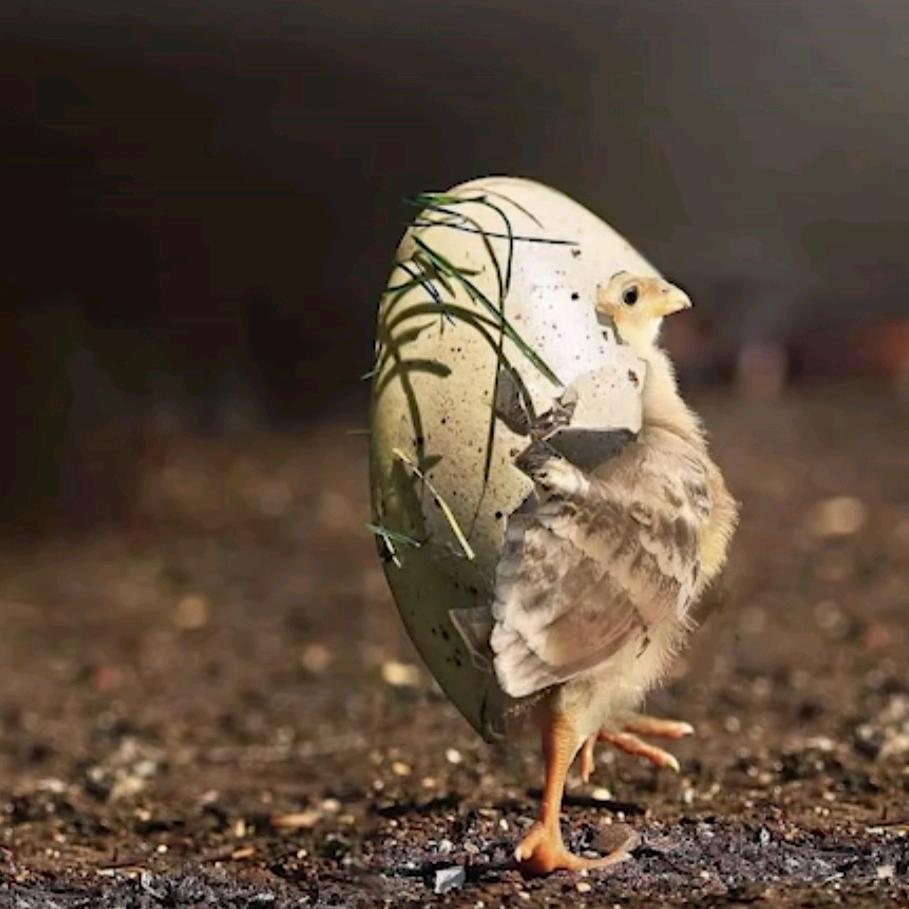 深渊