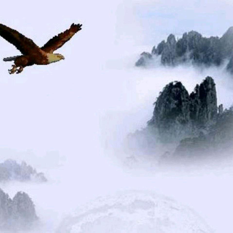 鹰击长空