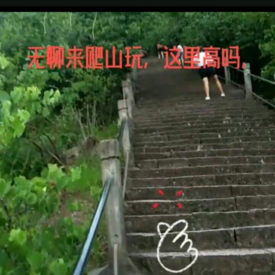 真🌷心🌺实🌹意🌷