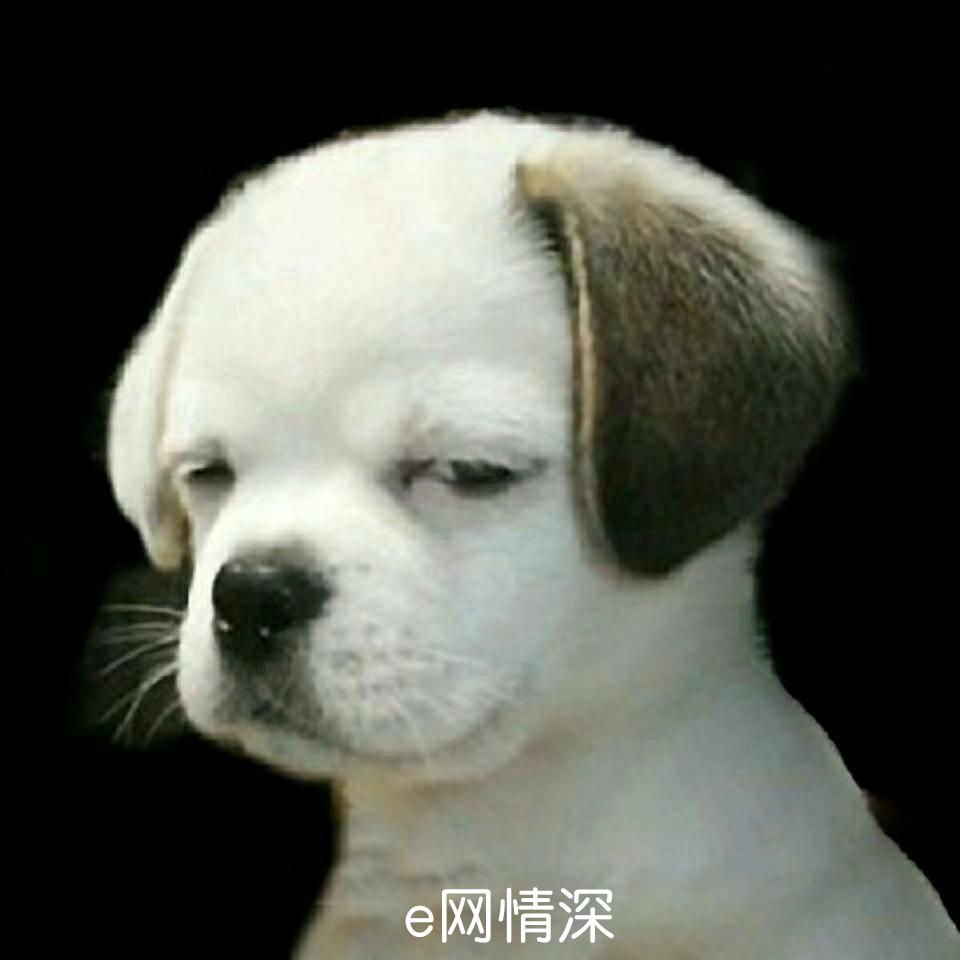 e网情深 𓀙𓃒
