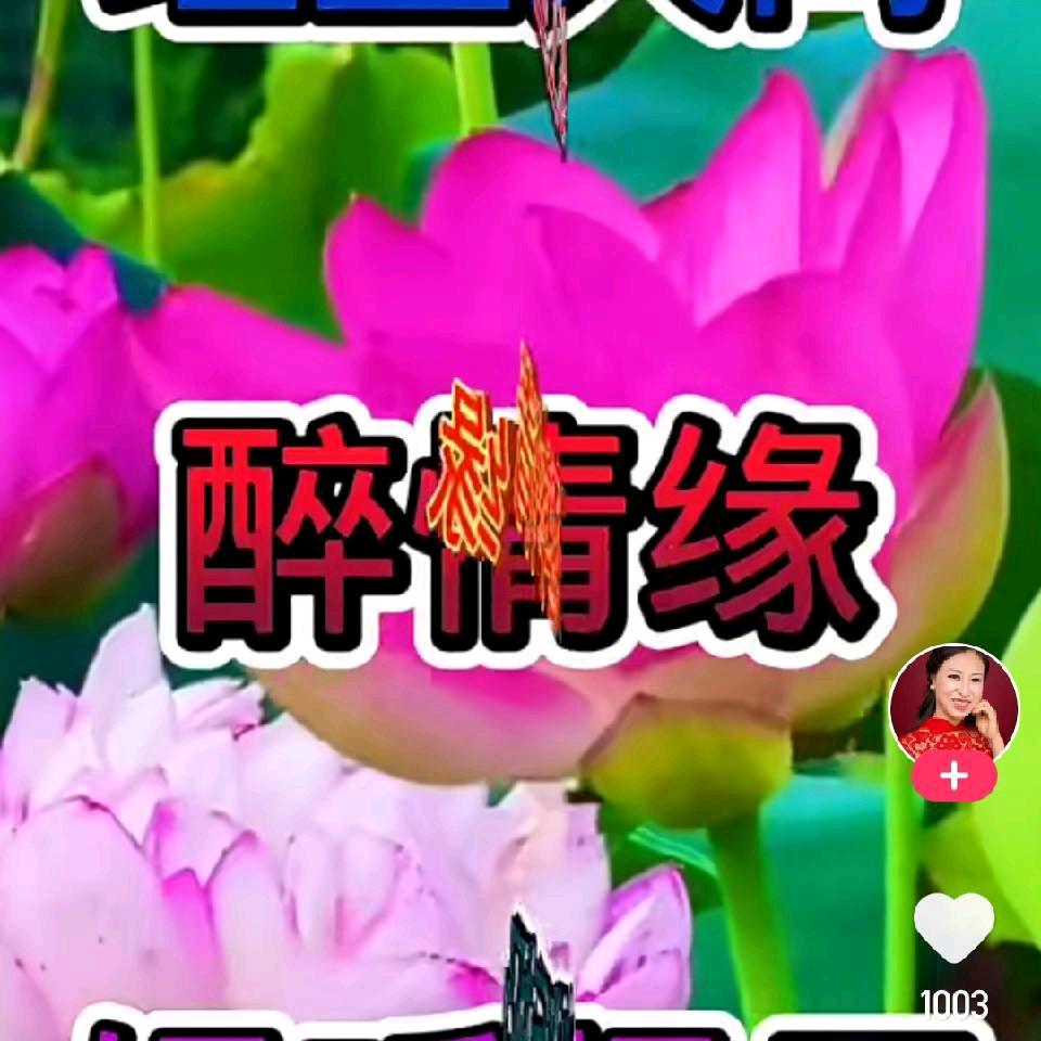 醉卧红尘2621