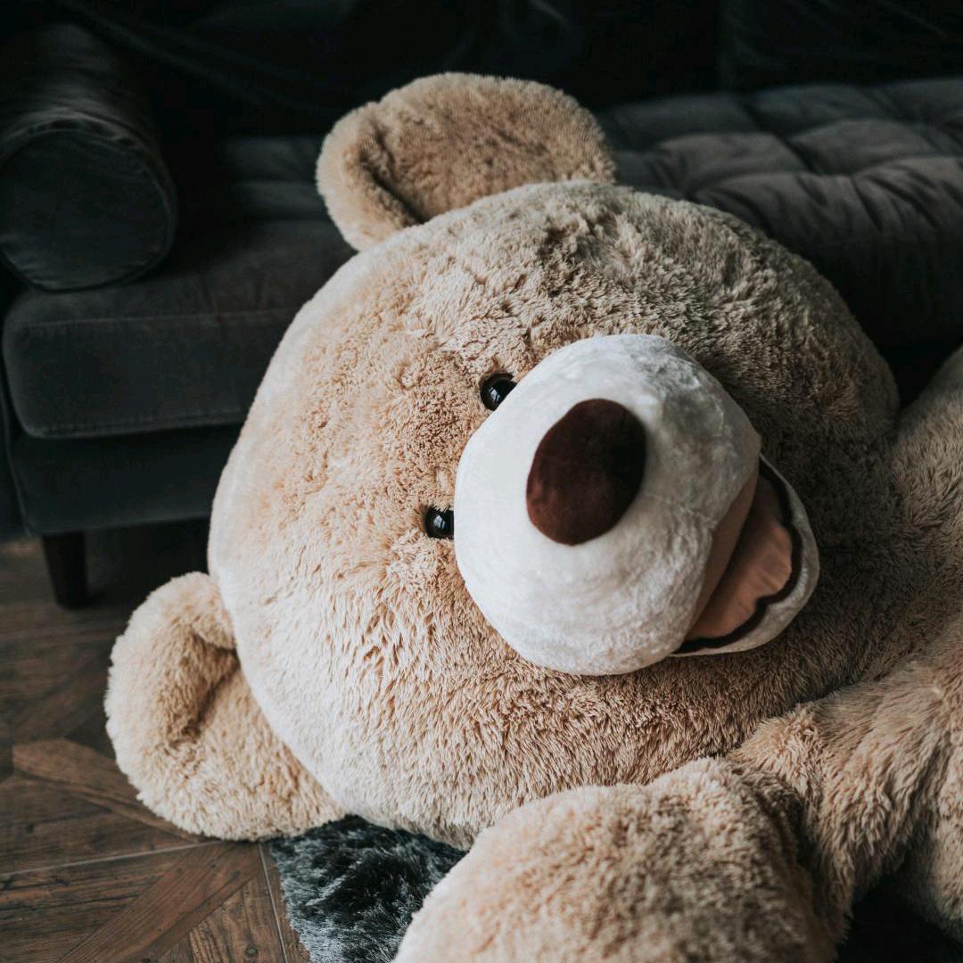 不会骑车的屁王🚲