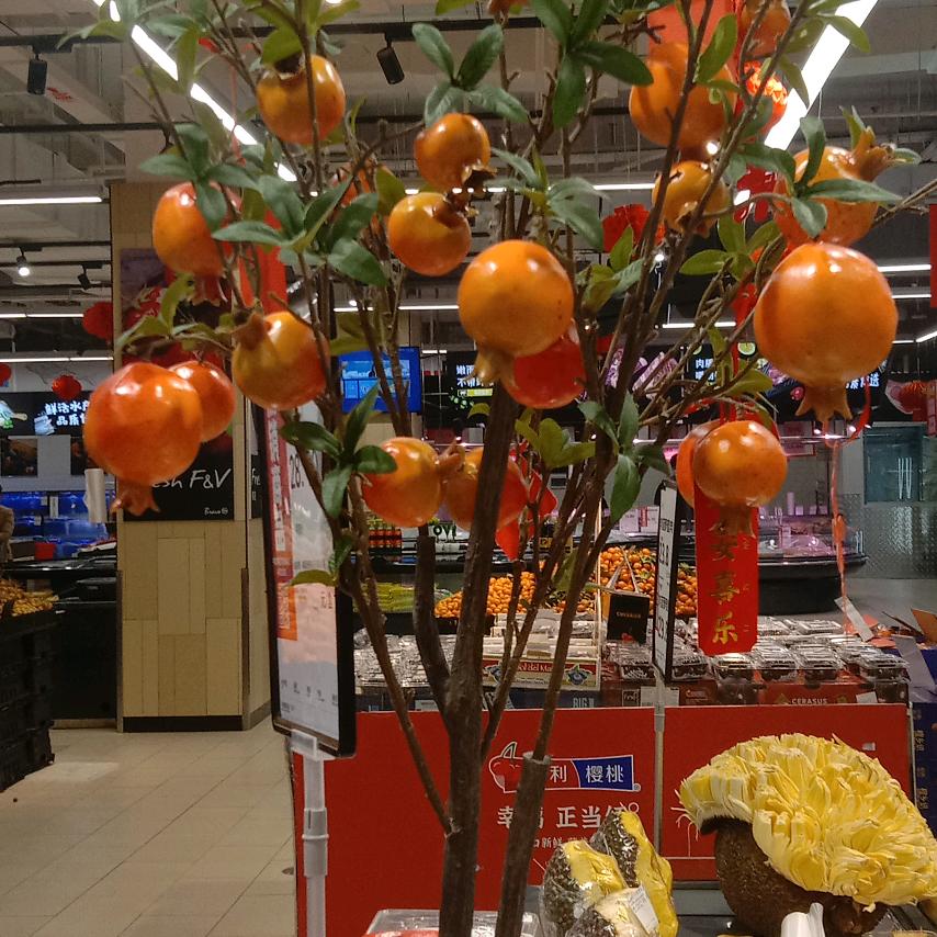 淑